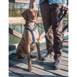 AMIPLAY Szelki regulowane Cotton - Granatowe M