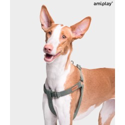 AMIPLAY Szelki regulowane Cotton - Khaki S