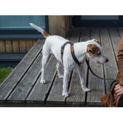 AMIPLAY Szelki regulowane Cotton - Brązowe L