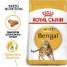 ROYAL CANIN Bengal Adult karma sucha dla kotów dorosłych rasy bengal 400g