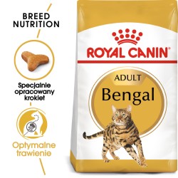 ROYAL CANIN Bengal Adult karma sucha dla kotów dorosłych rasy bengal 10 kg