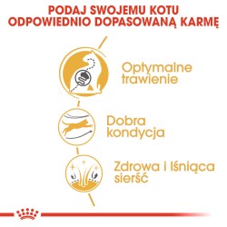 ROYAL CANIN Bengal Adult karma sucha dla kotów dorosłych rasy bengal 10 kg