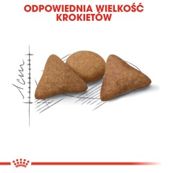 ROYAL CANIN Indoor Appetite Control karma sucha dla kotów dorosłych, przebywających wyłącznie w domu, domagających się jedzenia 