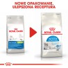 ROYAL CANIN Indoor Appetite Control karma sucha dla kotów dorosłych, przebywających wyłącznie w domu, domagających się jedzenia 