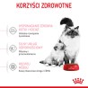ROYAL CANIN Mother & Babycat karma sucha dla kotek w okresie ciąży, laktacji i kociąt od 1 do 4 miesiąca życia 4 kg
