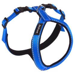 AMIPLAY Szelki regulowane Grand Soft Reflective - Niebieskie L