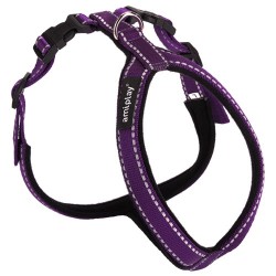 AMIPLAY Szelki regulowane Grand Soft Reflective - Fioletowe L