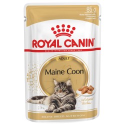 ROYAL CANIN Maine Coon karma mokra w sosie dla kotów dorosłych rasy maine coon 85g