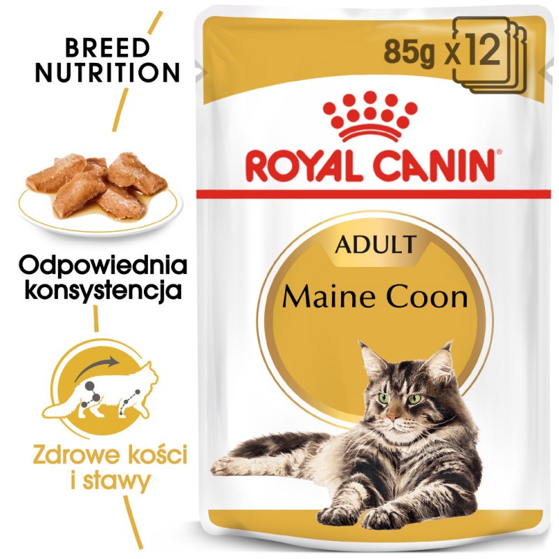 ROYAL CANIN Maine Coon karma mokra w sosie dla kotów dorosłych rasy maine coon 48x 85g