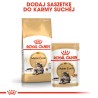 ROYAL CANIN Maine Coon karma mokra w sosie dla kotów dorosłych rasy maine coon 48x 85g