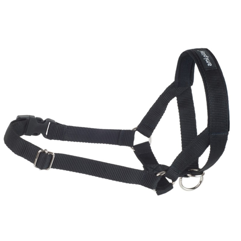 AMIPLAY Halter Basic - Czarny XL