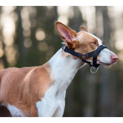 AMIPLAY Halter Basic - Czarny XXL