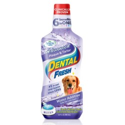 SYNERGY LABS Dental Fresh Kamień i Osad 237ml