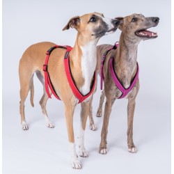 AMIPLAY Szelki regulowane Grand Soft Reflective - Czerwone XXL