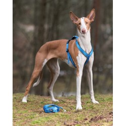 AMIPLAY Szelki regulowane Grand Soft Reflective - Niebieskie L