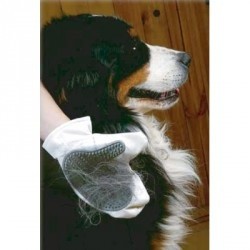 ZOLUX Rękawica do mycia