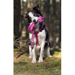 AMIPLAY Szelki regulowane Grand Soft Reflective - Różowe L