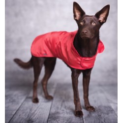 AMIPLAY Pelerynka przeciwdeszczowa Bristol - Czerwona 27 cm