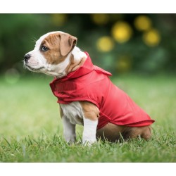 AMIPLAY Pelerynka przeciwdeszczowa Bristol - Czerwona 58 cm