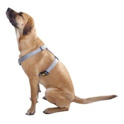 DINGO Szelki typu guard "Maks" 2cm (36-70cm)