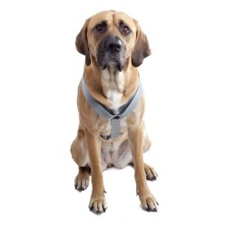 DINGO Szelki typu guard "Maks" 3cm (54-100cm)