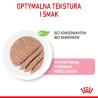 ROYAL CANIN Kitten Instinctive pasztet karma mokra - pasztet dla kociąt do 12 miesiąca życia 85g
