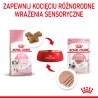 ROYAL CANIN Kitten Instinctive pasztet karma mokra - pasztet dla kociąt do 12 miesiąca życia 85g