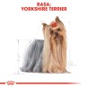 ROYAL CANIN Yorkshire Terrier Adult karma sucha dla dorosłych psów rasy yorkshire terrier 1,5 kg
