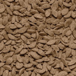 BEAPHAR Care+ Chinchilla - karma dla szynszyli 1,5kg