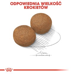 ROYAL CANIN Maxi Adult karma sucha dla psów dorosłych ras dużych, do 5 roku życia 4 kg
