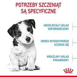 ROYAL CANIN Mini Puppy karma sucha dla szczeniąt ras małych, od 2 do 10 miesiąca życia 2x 8kg