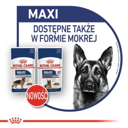 ROYAL CANIN Maxi Adult karma sucha dla psów dorosłych ras dużych, do 5 roku życia 4 kg