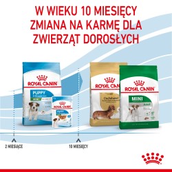 ROYAL CANIN Mini Puppy karma sucha dla szczeniąt ras małych, od 2 do 10 miesiąca życia 2kg
