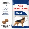 ROYAL CANIN Maxi Adult karma sucha dla psów dorosłych ras dużych, do 5 roku życia 10 kg