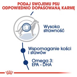 ROYAL CANIN Maxi Adult karma sucha dla psów dorosłych, do 5 roku życia, ras dużych 30kg