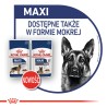 ROYAL CANIN Maxi Adult karma sucha dla psów dorosłych, do 5 roku życia, ras dużych 30kg