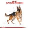 ROYAL CANIN German Shepherd Adult karma sucha dla psów dorosłych rasy owczarek niemiecki 3 kg
