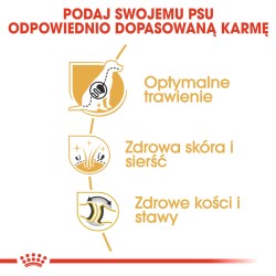 ROYAL CANIN German Shepherd Adult karma sucha dla psów dorosłych rasy owczarek niemiecki 11 kg