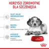 ROYAL CANIN Medium Puppy karma sucha dla szczeniąt ras średnich, od 2 do 12 miesiąca 15 kg