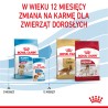 ROYAL CANIN Medium Puppy karma sucha dla szczeniąt ras średnich, od 2 do 12 miesiąca 15 kg