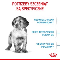 ROYAL CANIN Medium Puppy karma sucha dla szczeniąt ras średnich, od 2 do 12 miesiąca 4 kg
