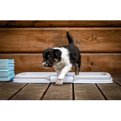 ZOLUX Puppy trainer 40 x 60 x 4cm