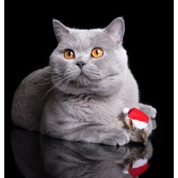 DINGO Zabawka dla kota - Mysz Mikołaj