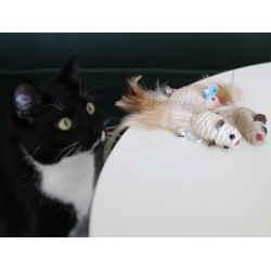 DINGO Myszki ECO dla kota z sizalu i trawy morskiej 2szt.