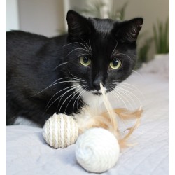 DINGO Piłki ECO dla kota z sizalu i trawy morskiej 2szt.