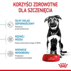 ROYAL CANIN Maxi Puppy karma sucha dla szczeniąt ras dużych, od 2 do 8 miesiąca życia 2x 15kg