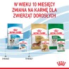 ROYAL CANIN Mini Puppy karma mokra w sosie dla szczeniąt ras małych, do 10 miesiąca 85g