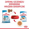 ROYAL CANIN Mini Puppy karma mokra w sosie dla szczeniąt ras małych, do 10 miesiąca 12x 85g