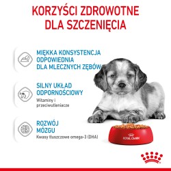 ROYAL CANIN Medium Puppy karma mokra w sosie dla szczeniąt ras średnich, do 12 miesiąca 140g