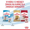 ROYAL CANIN Medium Puppy karma mokra w sosie dla szczeniąt ras średnich, do 12 miesiąca 140g